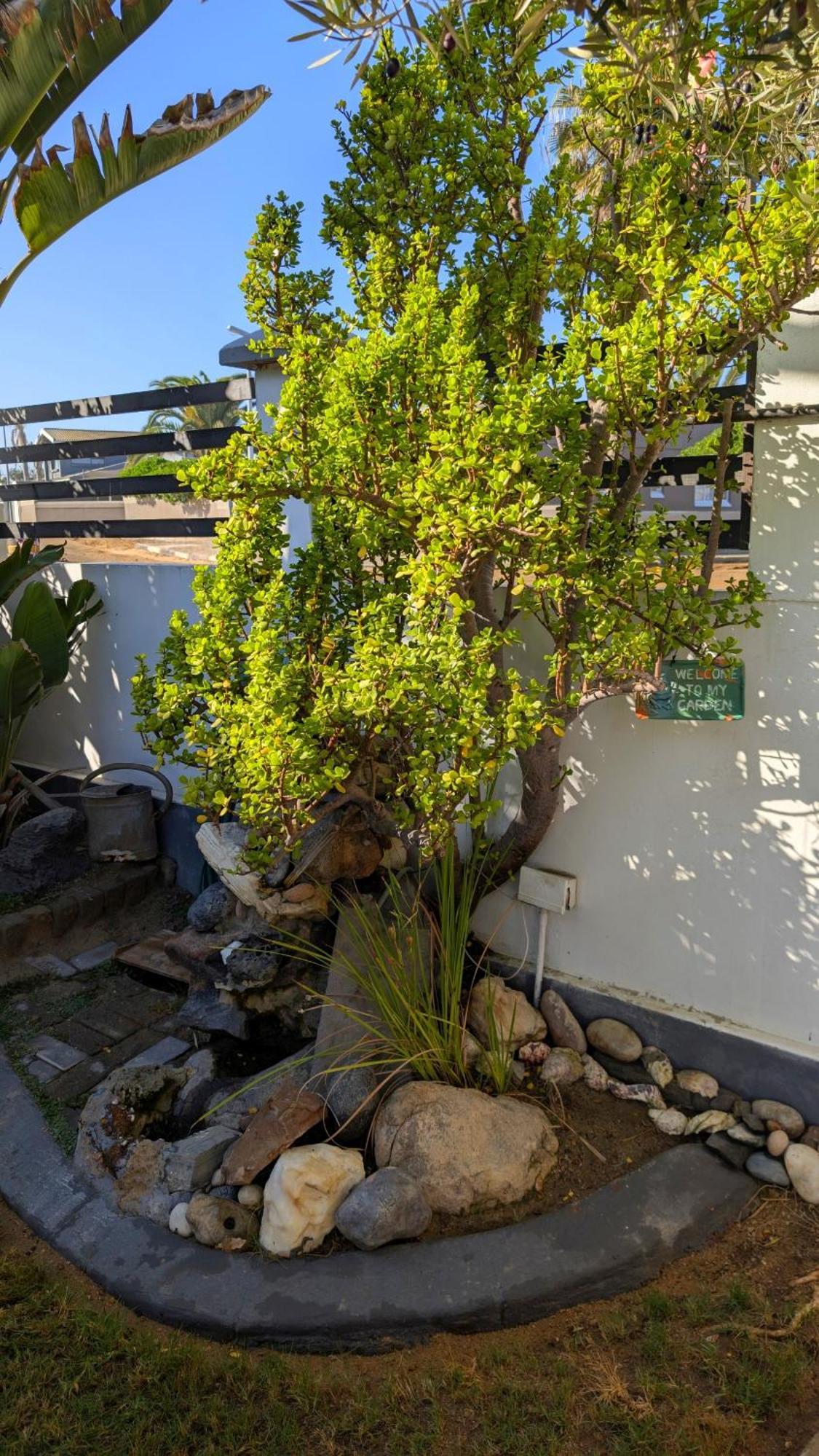 Amarachi Guesthouse Swakopmund Zewnętrze zdjęcie