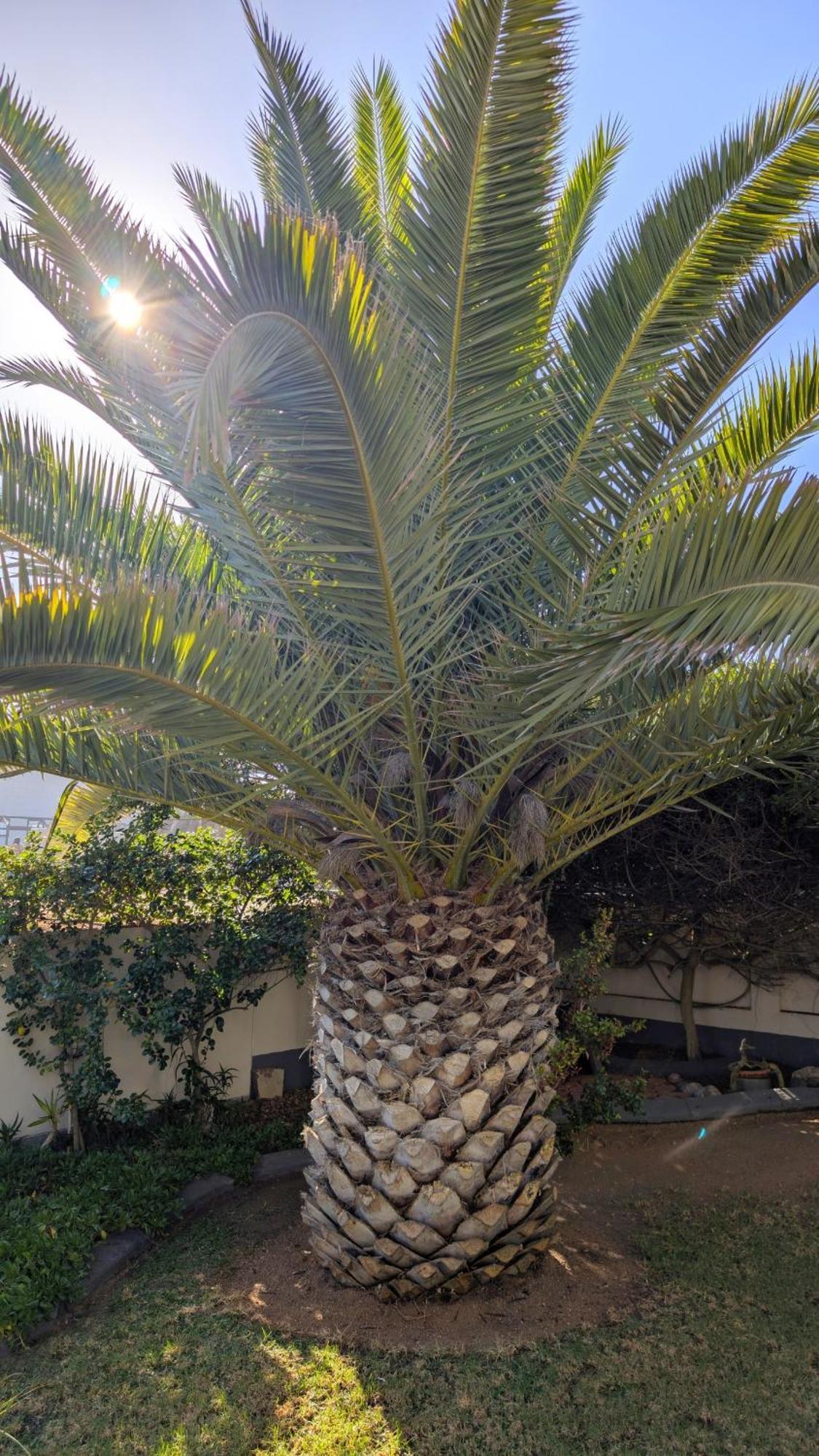 Amarachi Guesthouse Swakopmund Zewnętrze zdjęcie